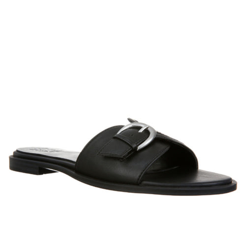 LILIA-BLACK