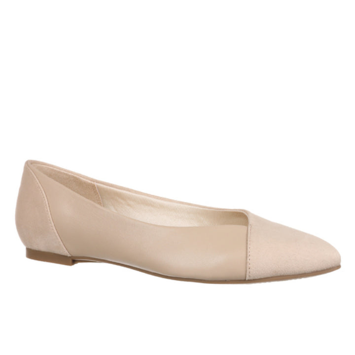 PROMISE-TENDER TAUPE