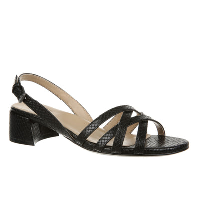 JOLEE-BLACK